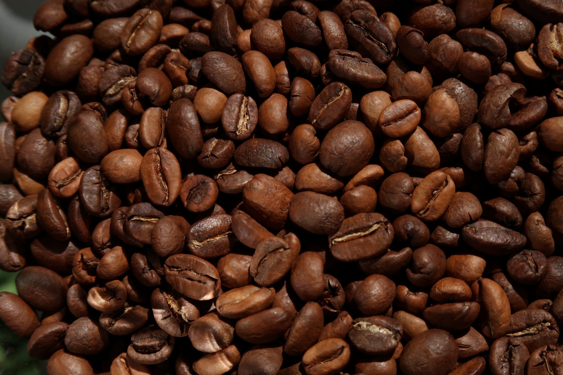 Freshly roasted Offset Coffee beans